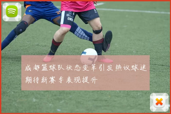 成都篮球队状态变革引发热议球迷期待新赛季表现提升