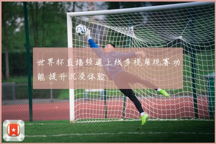 世界杯直播频道上线多视角观赛功能 提升沉浸体验