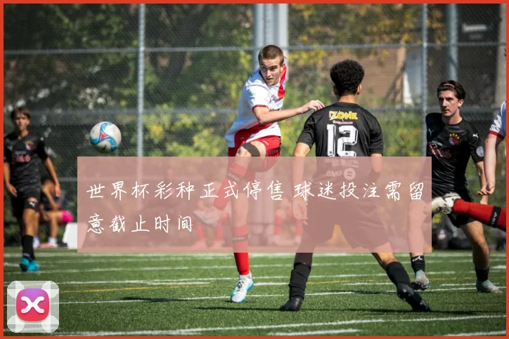世界杯彩种正式停售 球迷投注需留意截止时间