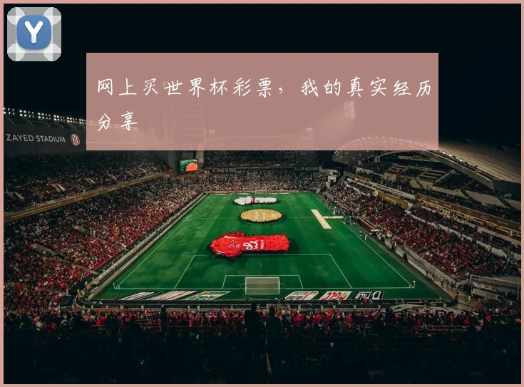 网上买世界杯彩票，我的真实经历分享
