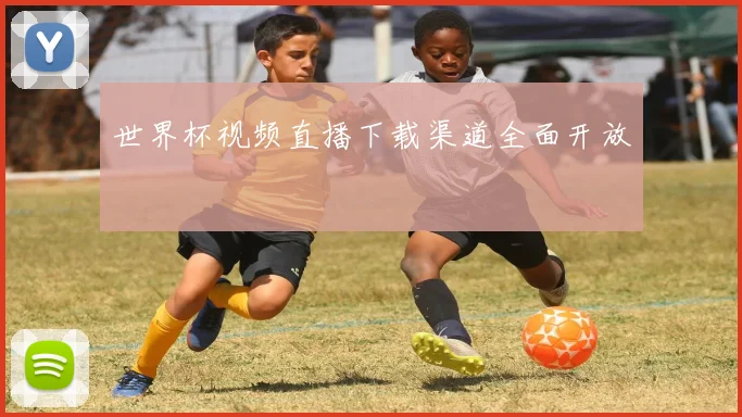 世界杯视频直播下载渠道全面开放