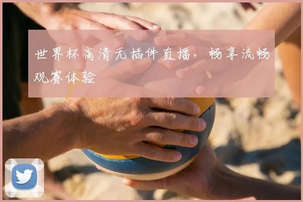 世界杯高清无插件直播,畅享流畅观赛体验