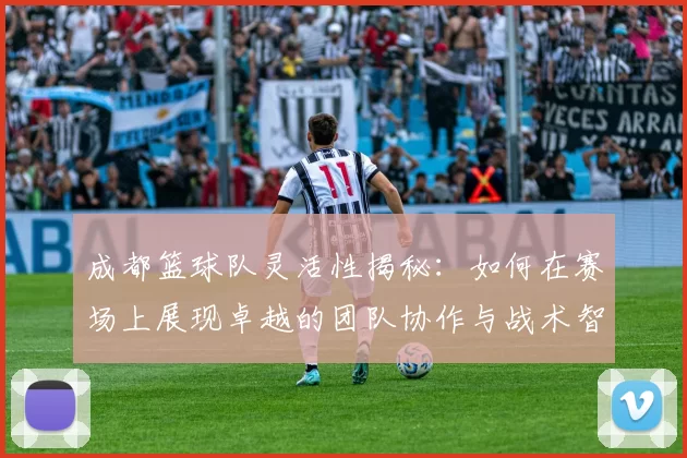 成都篮球队灵活性揭秘：如何在赛场上展现卓越的团队协作与战术智慧