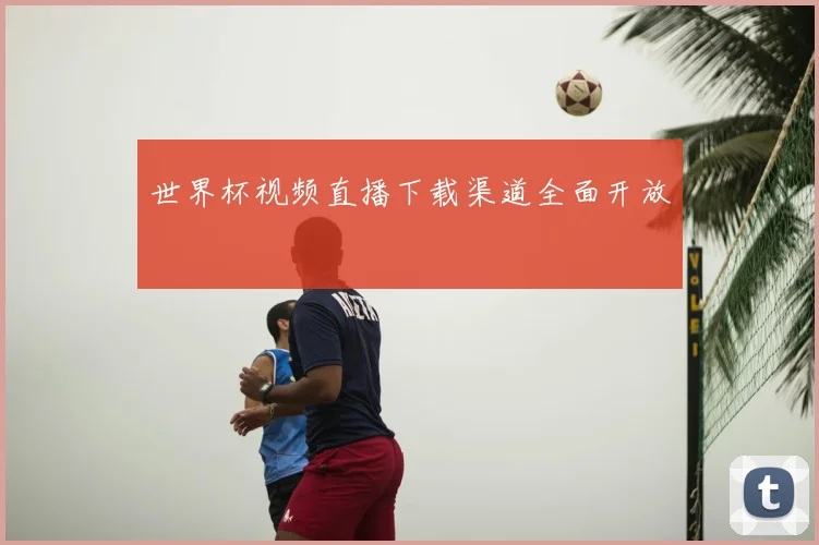 世界杯视频直播下载渠道全面开放