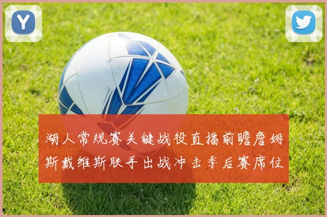 湖人常规赛关键战役直播前瞻詹姆斯戴维斯联手出战冲击季后赛席位