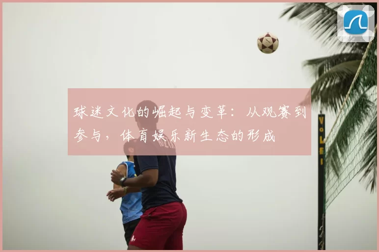 球迷文化的崛起与变革：从观赛到参与，体育娱乐新生态的形成