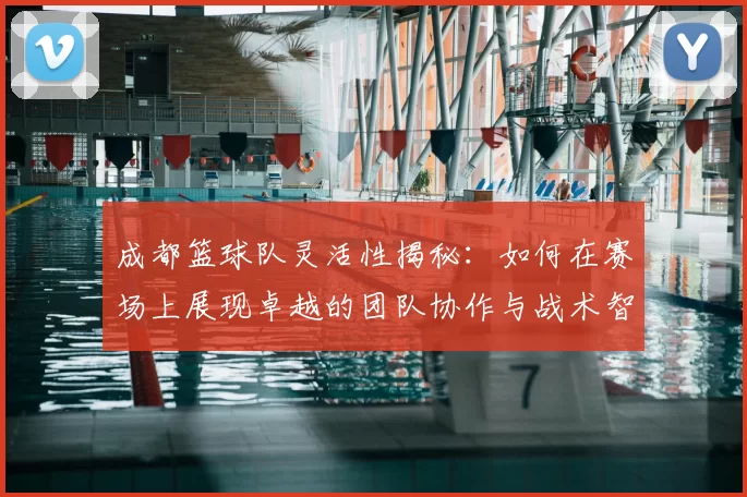 成都篮球队灵活性揭秘：如何在赛场上展现卓越的团队协作与战术智慧