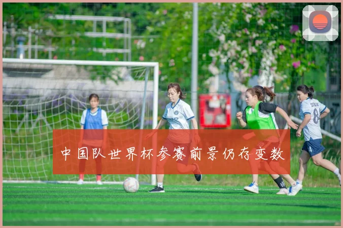 中国队世界杯参赛前景仍存变数