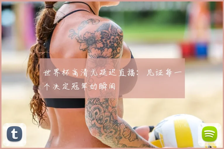 世界杯高清无延迟直播:见证每一个决定冠军的瞬间
