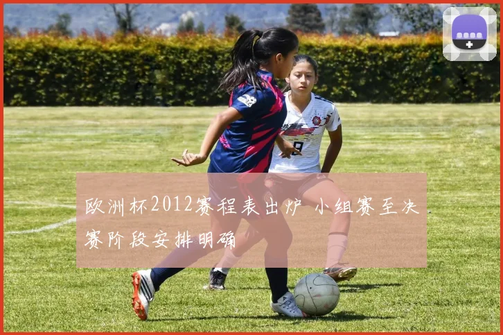 欧洲杯2012赛程表出炉 小组赛至决赛阶段安排明确