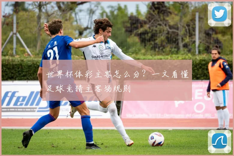 世界杯体彩主客怎么分？一文看懂足球竞猜主客场规则
