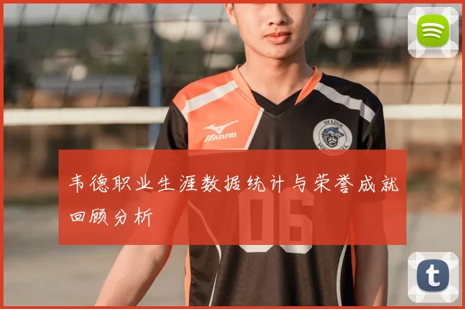 韦德职业生涯数据统计与荣誉成就回顾分析