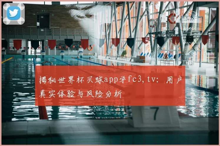 揭秘世界杯买球app学fc3,tv：用户真实体验与风险分析