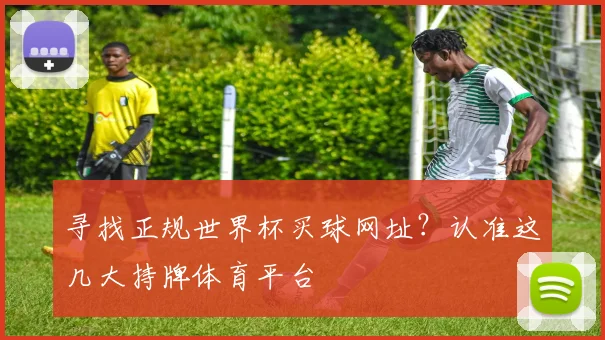 寻找正规世界杯买球网址?认准这几大持牌体育平台
